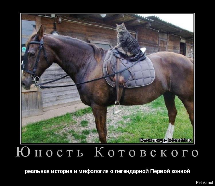 Солянка от 10.10.2022