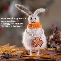 Вечерний марафон юмора и позитива