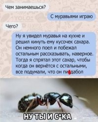 Вечерний марафон юмора и позитива