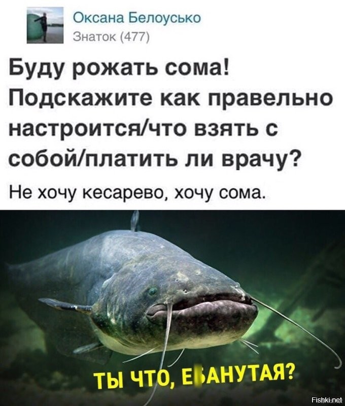 Солянка от 10.10.2022