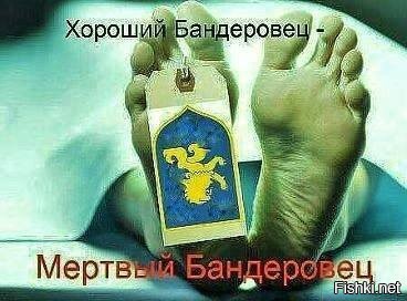 Политический новостной мониторинг событий в мире. Выпуск 258