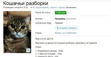 Скрины из соцсетей