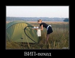 Скрины из соцсетей