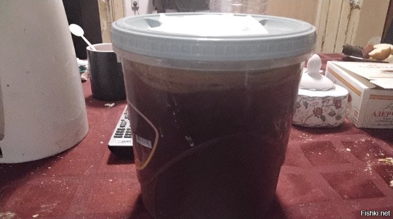 Не просто экосистема, но еще, вкусная и полезная при употреблении во внутрь.
Вот мой, кстати. Зовут Михалыч, 7 числа как раз пересадил в новую заварку, поэтому еще такой темный. Если не заберут куда, 22-25 октоберу, получу примерно 3 литра газированной вкусняшки.
