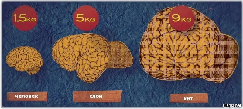 Маловато будет