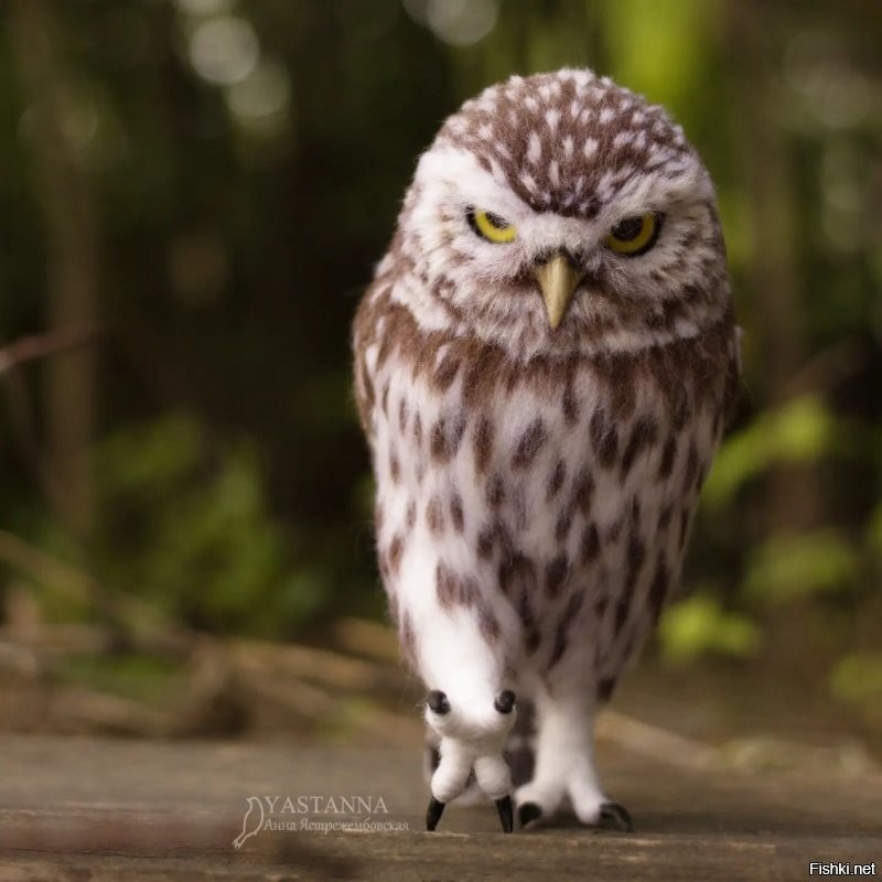 Очень красивые! Восхищаюсь такими рукодельницами!
Есть ещё одна очень талантливая российская мастерица - Анна Ястрежембовская