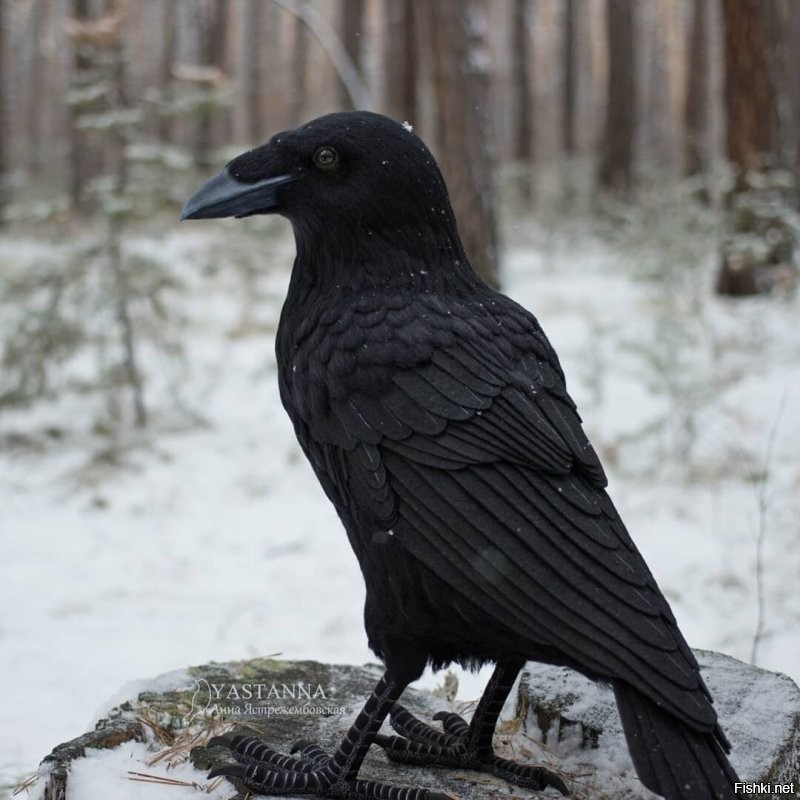 Очень красивые! Восхищаюсь такими рукодельницами!
Есть ещё одна очень талантливая российская мастерица - Анна Ястрежембовская