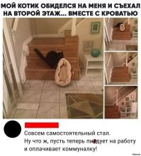 Йожика картинки. Выпуск 223