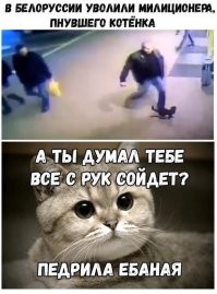 Йожика картинки. Выпуск 223