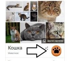 Зачем я это узнал?