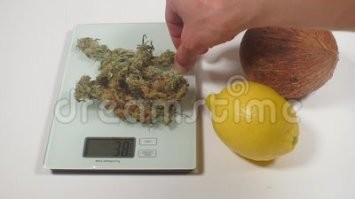 20 вещей, реальный размер которых можно понять только в сравнении