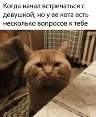 Да там один вопрос всего: "А ты скоро от нас уйдёшь, гавно?"