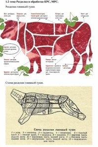 Нетерпеливая корова лишила себя обеда