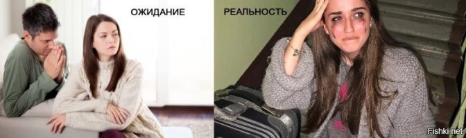 Смешные и познавательные картинки