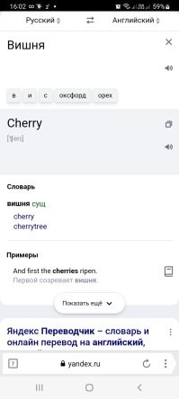 Чужой менталитет: вещи и привычки из других стран, которые нам покажутся странными