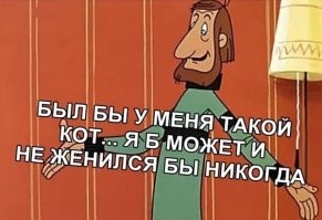 Скрины из соцсетей