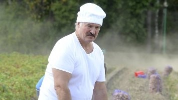 Странный штрихкод или инкубатор для яиц пришельцев: откуда в Перу тысячи странных ям