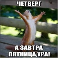 Не ищите здесь смысл. Здесь в основном маразм