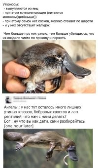 Не ищите здесь смысл. Здесь в основном маразм