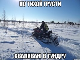 Скрины из соцсетей
