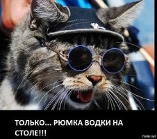 Скрины из соцсетей