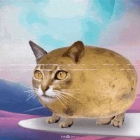Скрины из соцсетей