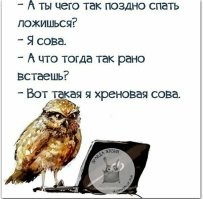 Не ищите здесь смысл. Здесь в основном маразм