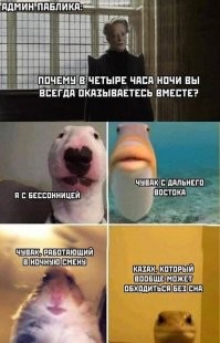 Вообще-то 4 часа утра... И я встаю между 4 и 5 утра всю свою жизнь. Прекрасно сплю. Просто биоритмы такие и как раз в интернете я в 4 утра.