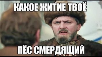 Смешные и познавательные картинки