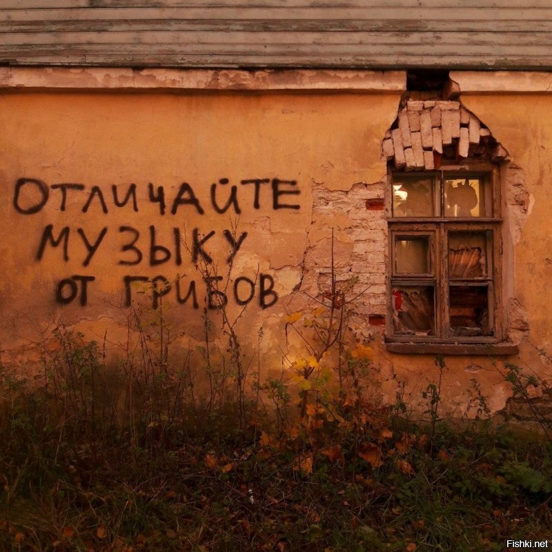 На заборе тоже написано