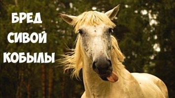 Кто и как расплачивался с долгами Высоцкого после его смерти