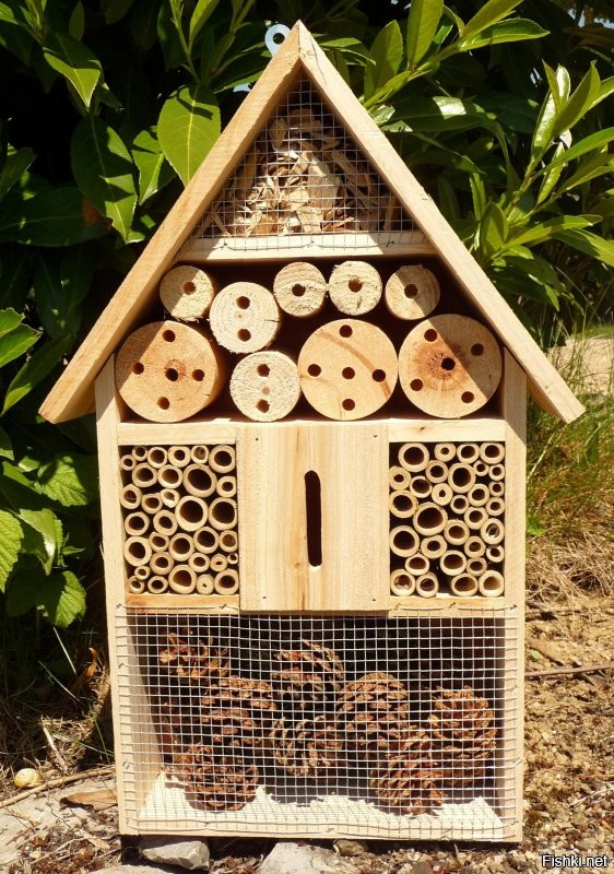 Вот такой домик можно соорудить в саду или на приусадебном участке. Этим вы поможете пчёлам одиночкам и другим полезным насекомым, обрести крышу над головой.