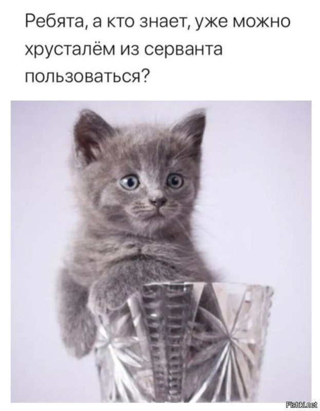 Солянка от 14.10.2022