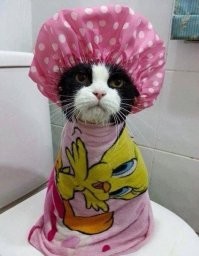 Само спокойствие