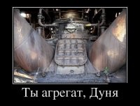 Фотоподборка