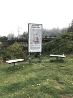 Там всё засрано