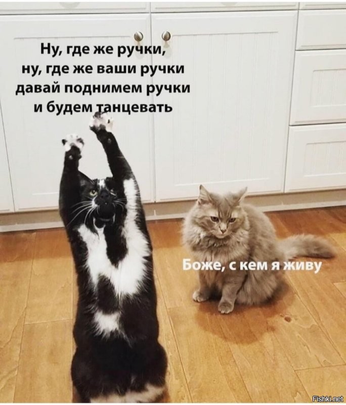 Солянка от 15.10.2022