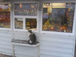 17 хороших мальчиков и девочек, у которых есть настоящая работа