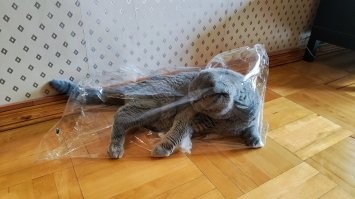 Походу с моих нарисовано ))))