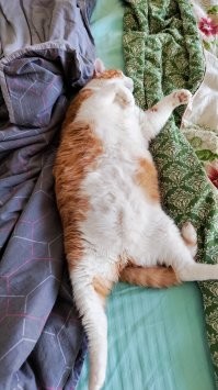 Походу с моих нарисовано ))))