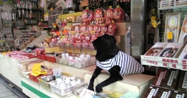 Тоже при работе: