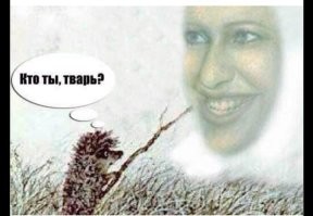 10 фактов про мультфильм "Ежик в тумане"