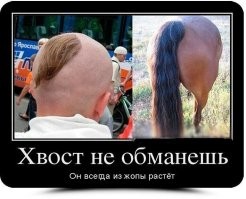 Зачем запорожским казакам нужны были чубы на голове?