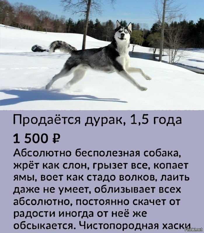 - Ничего не говори