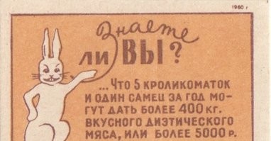 20+ фото кроликов, которые не такие милые и пушистые, как кажется