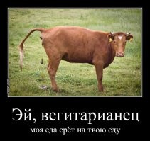 Надо в отместку ловить на улице веганов и засовывать им в жопы пятикилограммовые кочаны капусты. Я думаю, что в их привычные раздолбанные жопы такие кочаны поместятся без проблем. И ещё во всех веганских магазинах повесить плакатики: