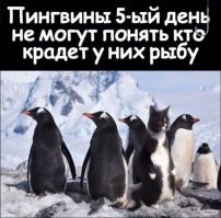 Смешные и познавательные картинки