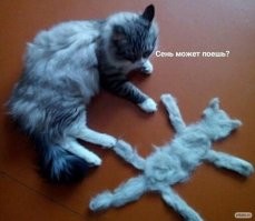 Смешные и познавательные картинки