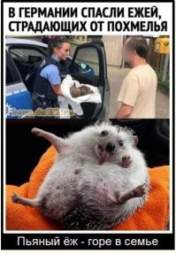 Смешные и познавательные картинки