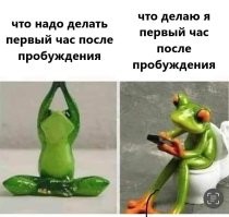 Смешные и познавательные картинки